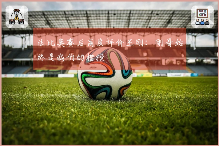 法比奥赛后高度评价王刚：刚哥始终是我们的楷模