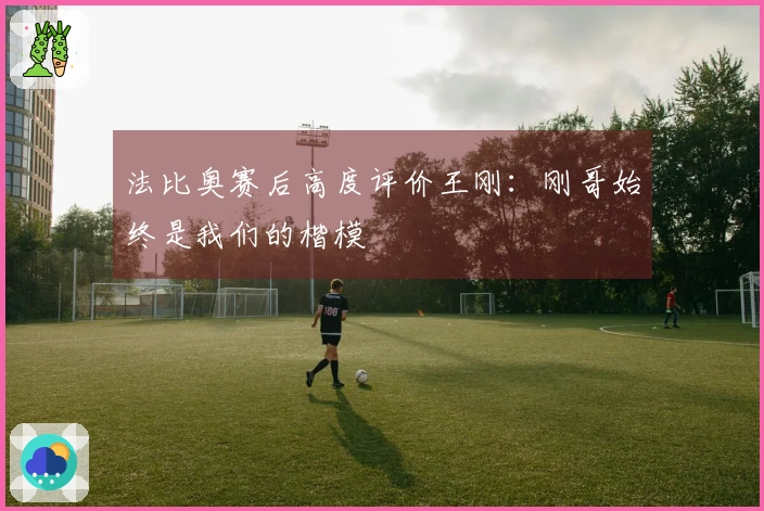 法比奥赛后高度评价王刚：刚哥始终是我们的楷模