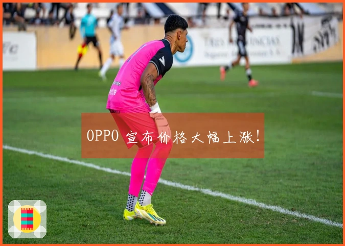 OPPO 宣布价格大幅上涨！